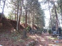 InaMinowajou (8).JPG