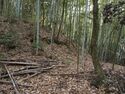 Kaseyamakyoto4.jpg