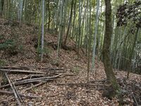 Kaseyamakyoto4.jpg