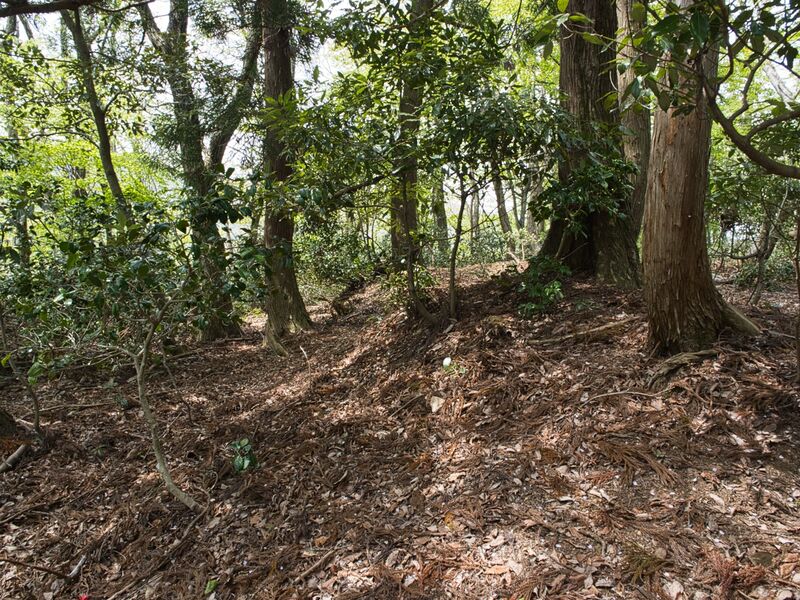 File:Kashiwadaniyama6.jpg