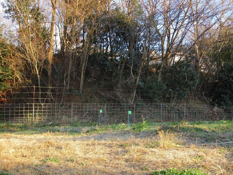 File:MikawaTaguchijou (1).jpg
