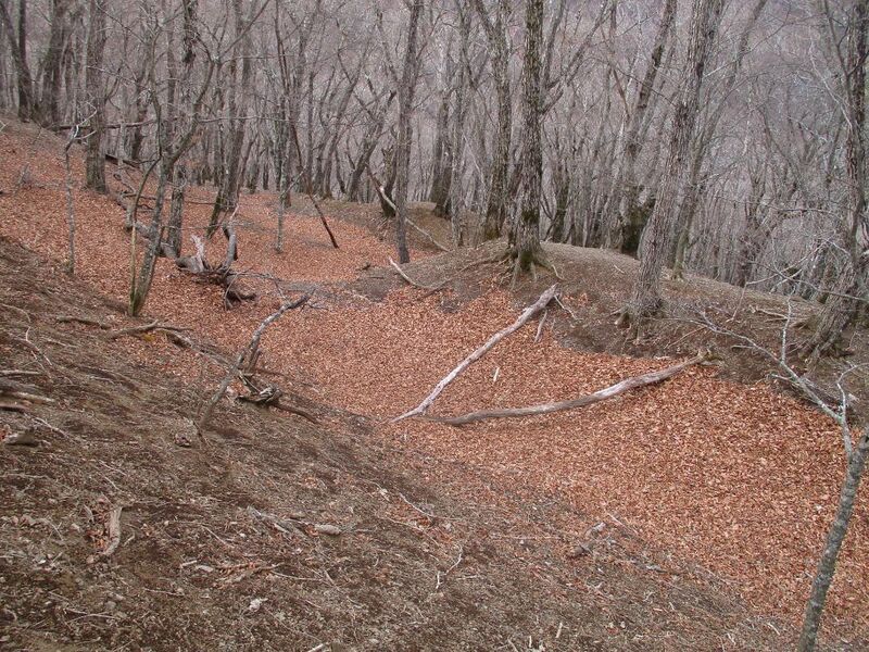 File:MisakajouA (26).jpg