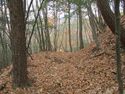 Nyuunomijou (2).JPG