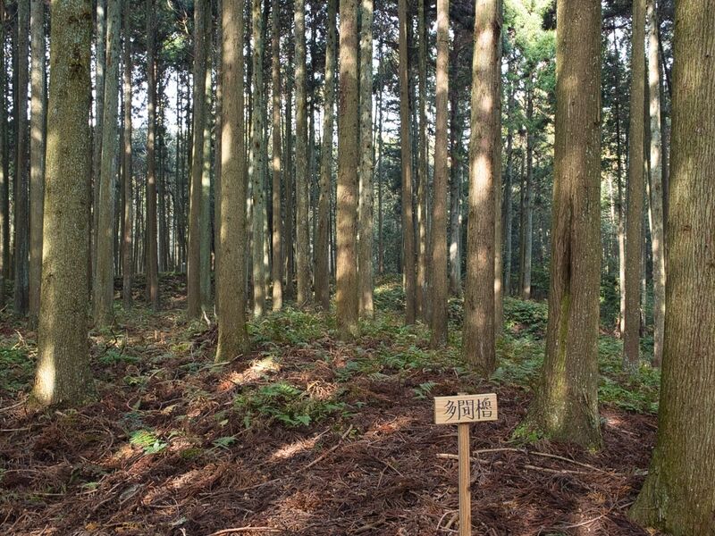 File:Shishiudoyakata27.jpg