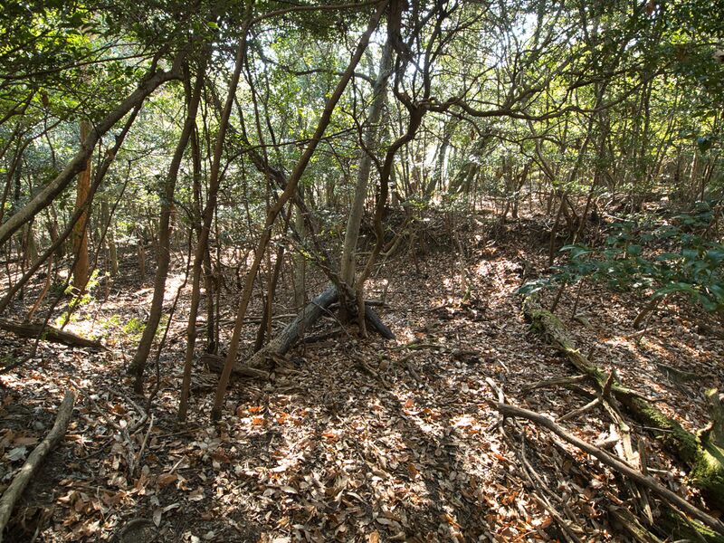 File:Shogunyama23.jpg