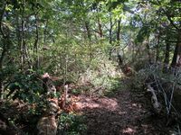 ShoudaiNoroshidai (4).JPG