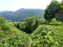 Torigoejô(path to sannomaru).JPG