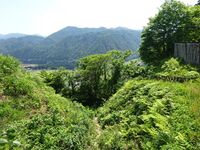 Torigoejô(path to sannomaru).JPG