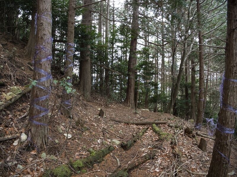 File:Tsubokasayama35.jpg