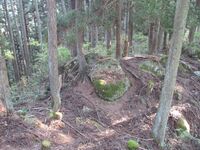 Tsukioijou (4).JPG