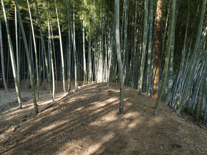 File:Uchikoshikoka5.jpg