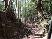 EgawaToride (1).JPG
