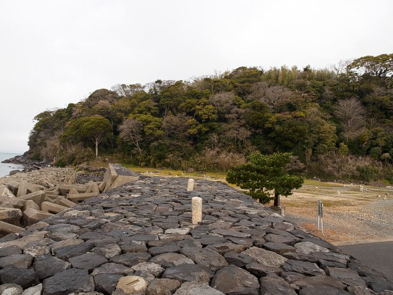 File:Hagiebisugahana2.jpg