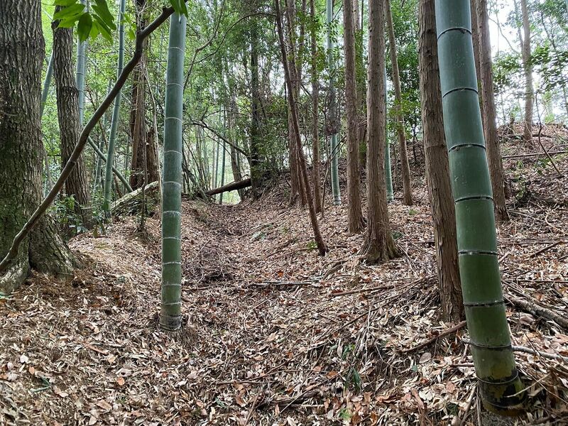 File:IgaHijiyamajou06.jpg