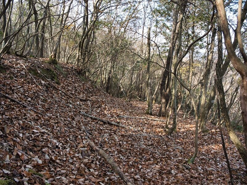 File:Inokurakyoto17.jpg