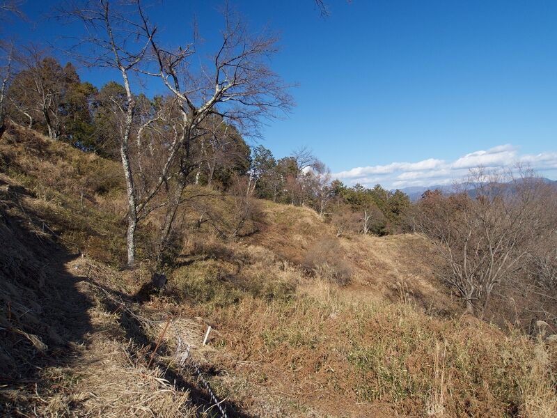 File:Katsuyamatsuru15.jpg
