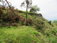 Matsukura (18).JPG