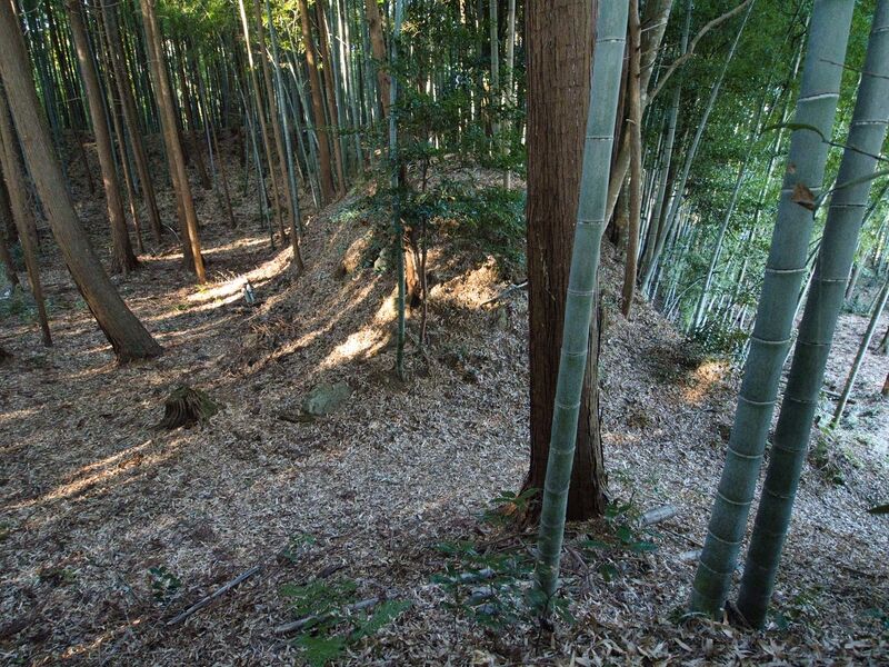 File:Mochizukikoka18.jpg