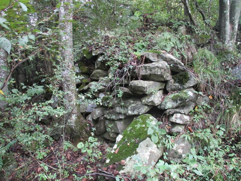 File:Motodoriyamajou (4).jpg