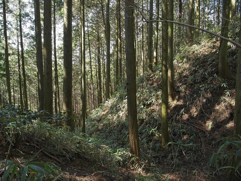 File:Ogawanakanokoka6.jpg