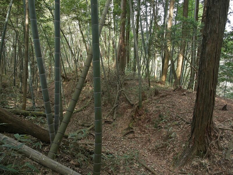 File:Ogawanishinokoka24.jpg