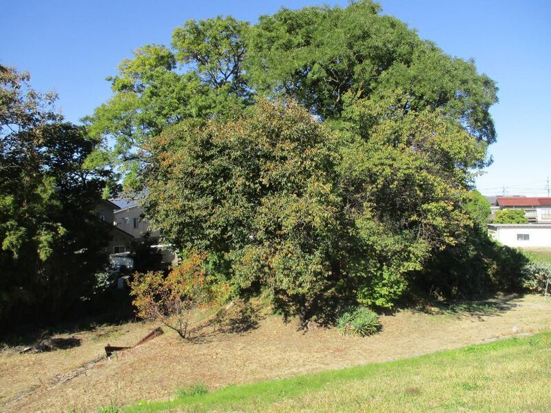 File:SarashinaKomoriYakata (6).jpg