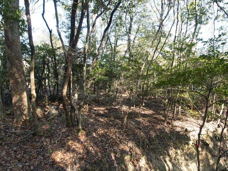 File:Shogunyama21.jpg