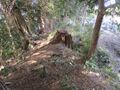 Thumbnail for version as of 15:09, 19 May 2025