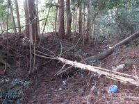 HitachiYoriijou (22).JPG