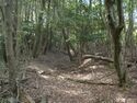 Ichijojiyama1.jpg