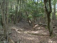 Ichijojiyama1.jpg