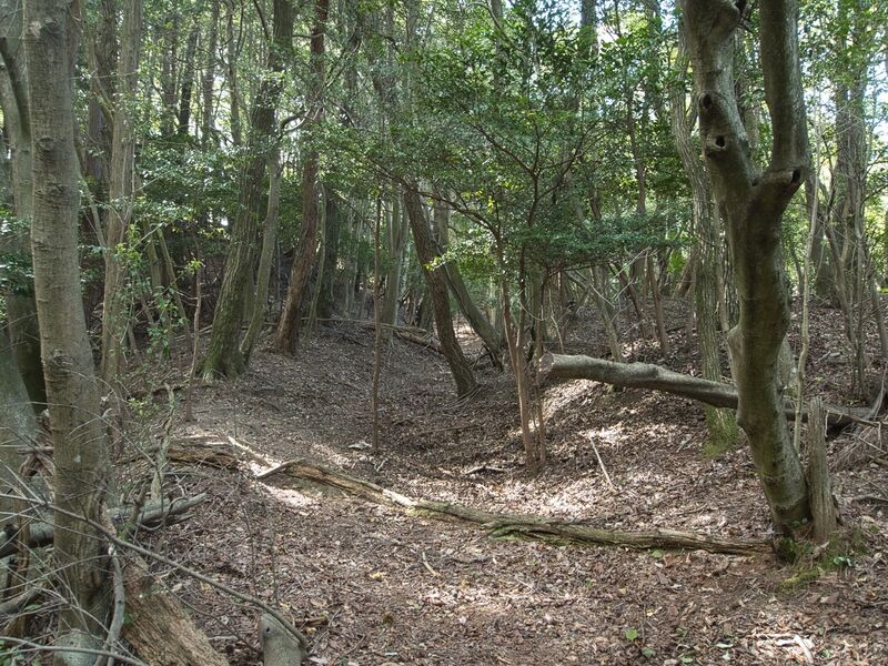File:Ichijojiyama1.jpg