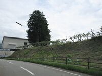 KaiNakamakijou (4).JPG