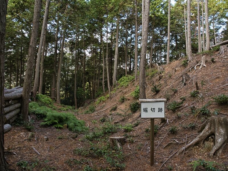 File:Kannosankyoto24.jpg