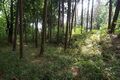 Thumbnail for version as of 13:26, 24 June 2017