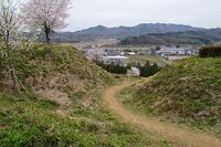 Minagawa20.jpg