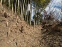 Takenaka19.jpg