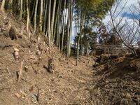 Takenaka19.jpg