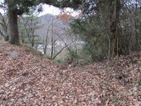 TsuruHanasakijou (3).JPG