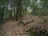 Eboshigata8.jpg