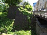 Edo63.jpg
