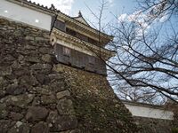 Fukuchiyama39.jpg