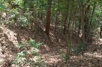 Hanazonomitake15.jpg