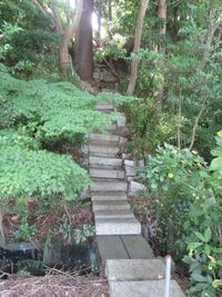 IwakiTaira (42).JPG