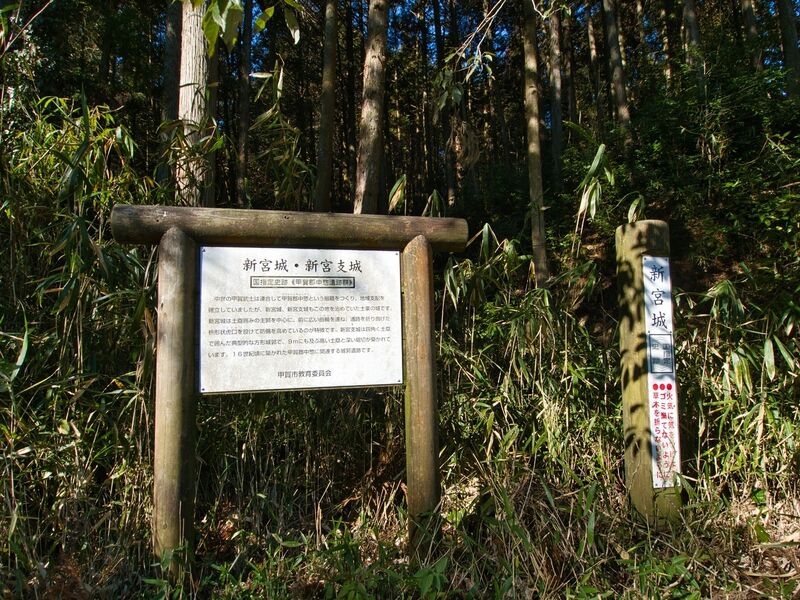 File:Kokashingu1.jpg