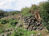 KoudaijiRui (19).JPG