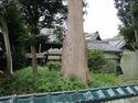 MikawaKourikijou (4).jpg