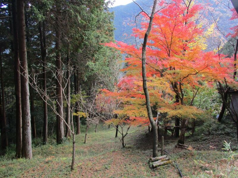 File:MinoOjimajou 002.jpg