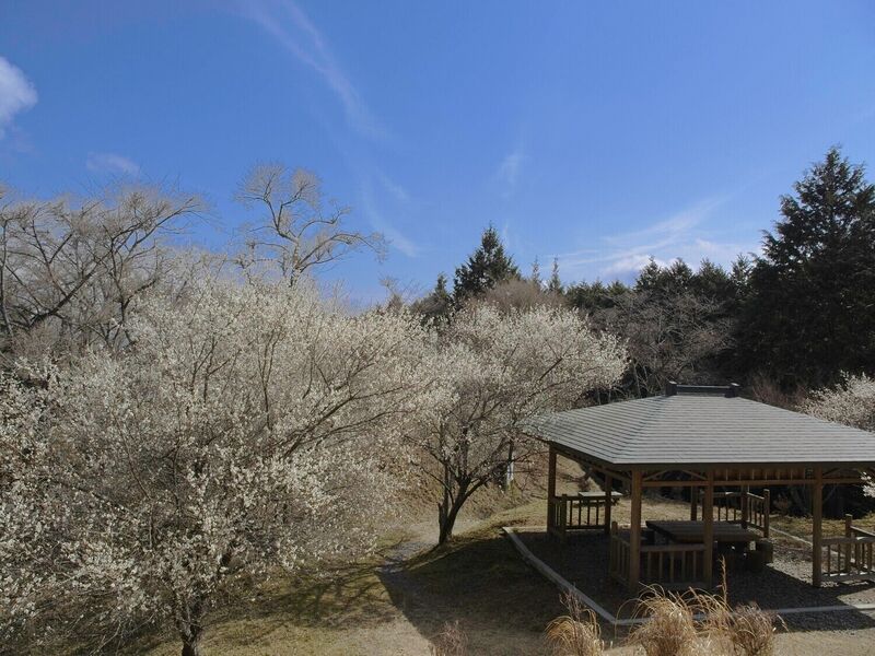 File:Ogawakoka10.jpg