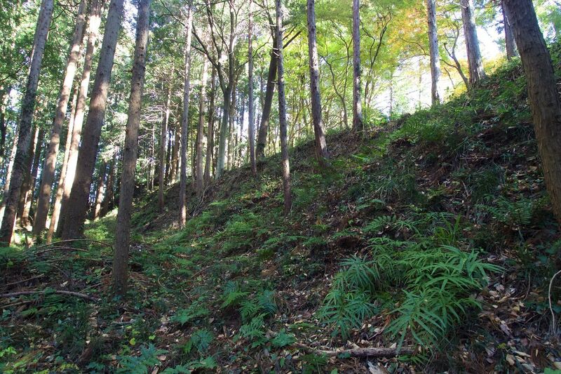 File:Takatome26.jpg